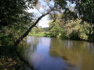 Brandywine River