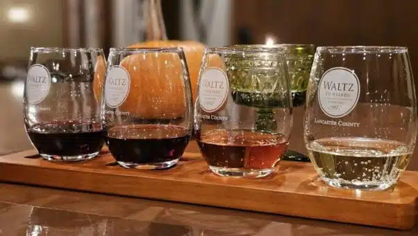 Close-up image of wine glasses filled with different wines for a tasting.