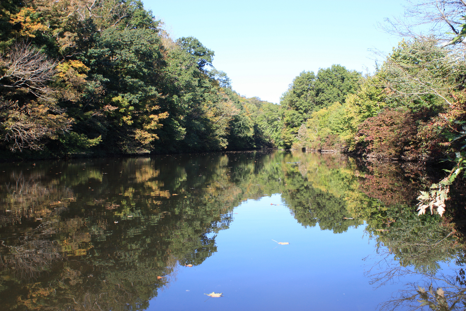 montgomery county perkiomen creek