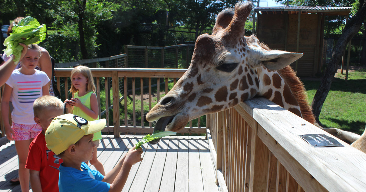 Extra care needed for zoo animals in winter