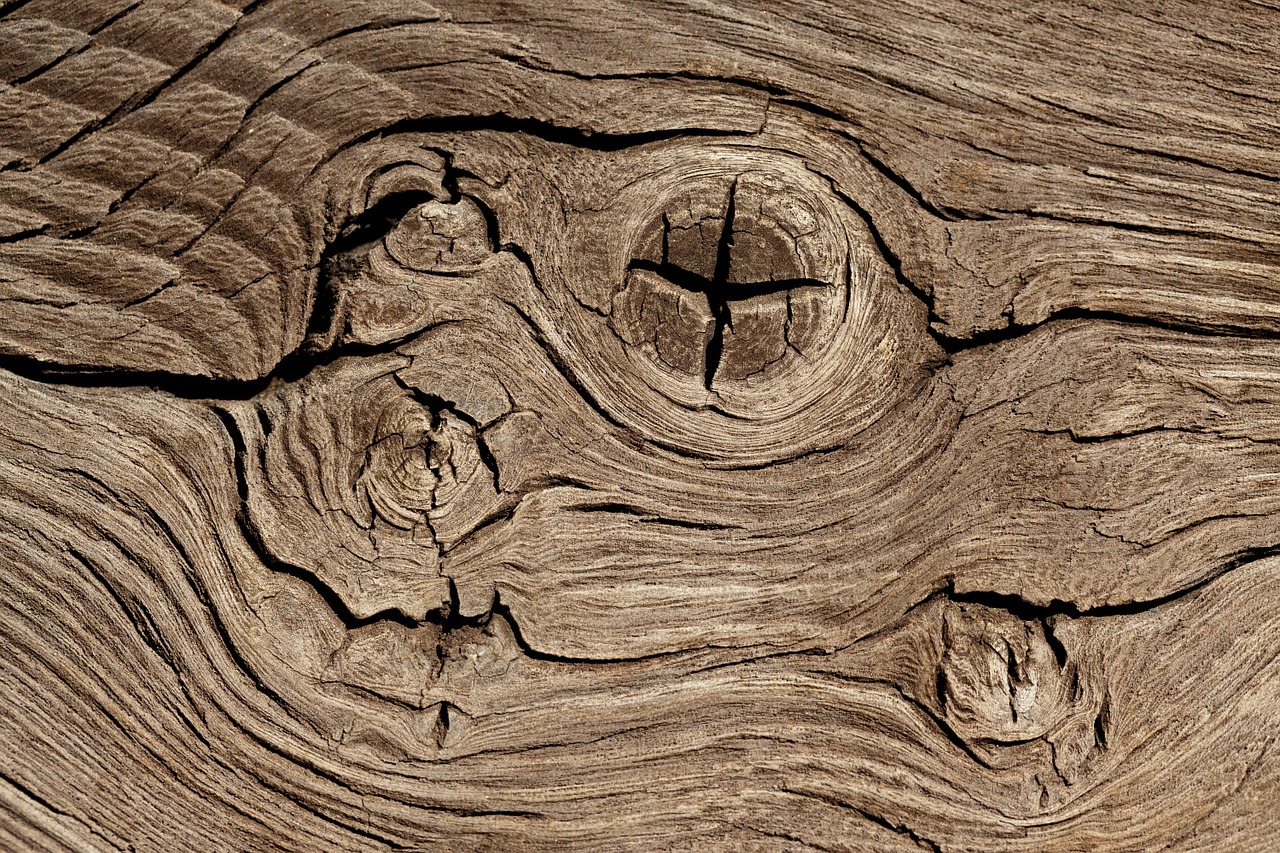 Conshohocken native is turning (live edge) tables into furniture