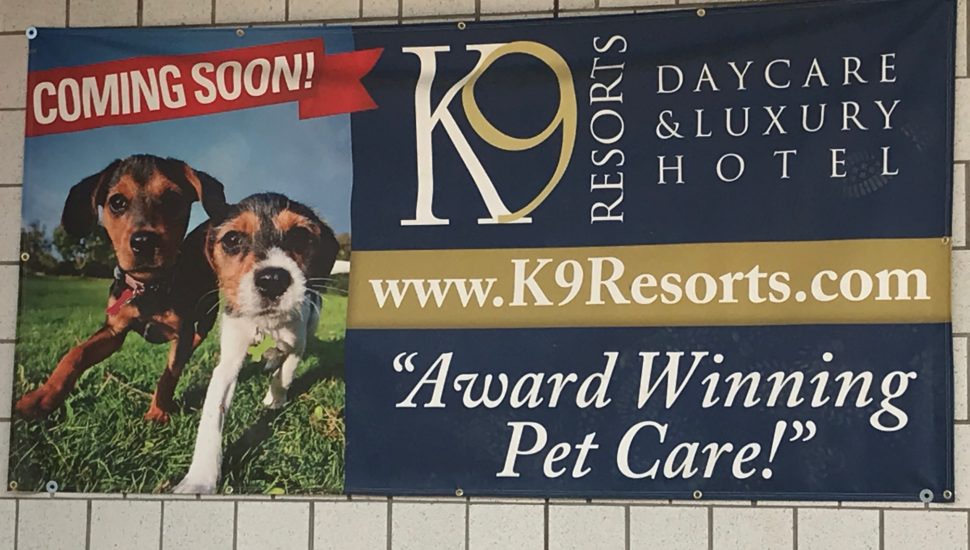 K9 resorts to offer upscale doggie daycare and boarding to the Main Line