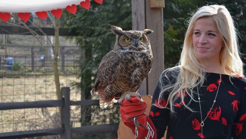 Temple’s owl at home in Norristown’s Elmwood Park Zoo