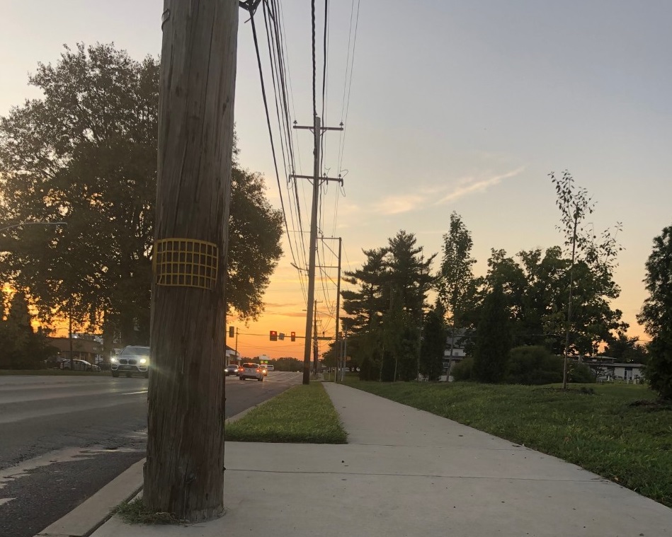 What are those yellow grids on Montco’s telephone poles?