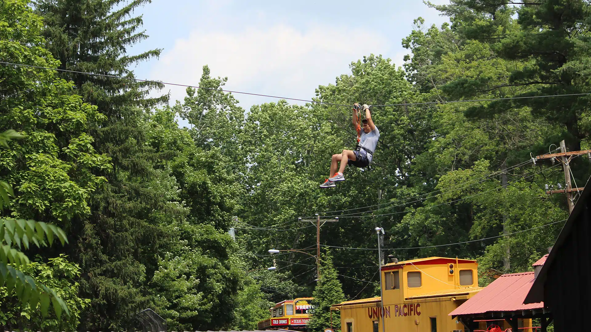 MONTCO.Today Careers: Elmwood Park Zoo