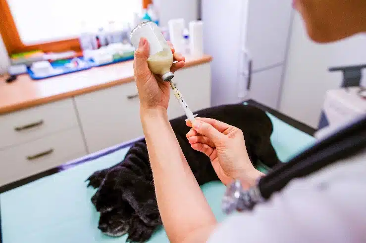 GlaxoSmithKline Sells Rabies and Tick-Borne Encephalitis Vaccines to Denmark Biotechnology Company for Up To .1B