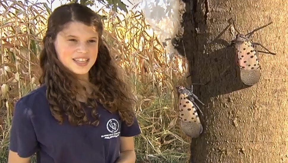 Harleysville Girl Follows Up Delaware Valley Science Fair Gold Medal With Prize at National Science Competition