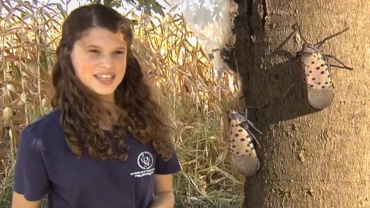 Harleysville Girl Follows Up Delaware Valley Science Fair Gold Medal With Prize at National Science Competition