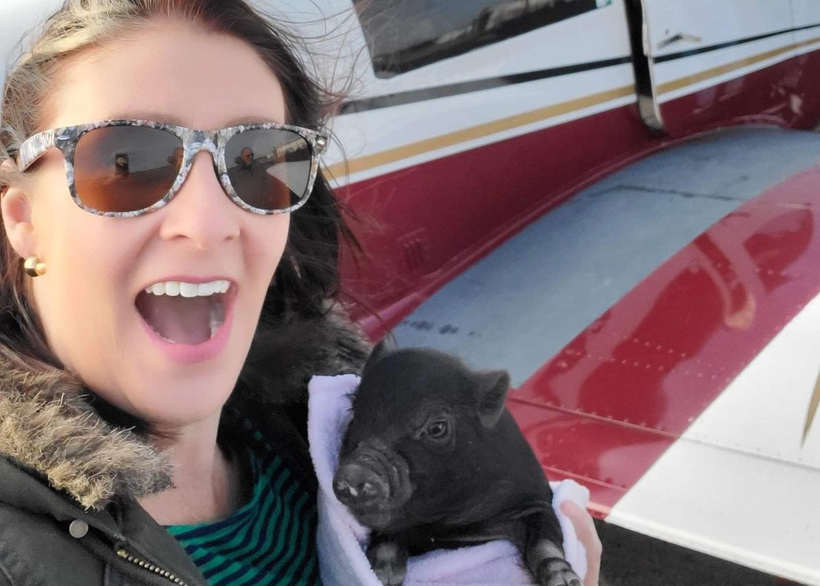 Once Set to Be Euthanized, Special-Needs Pig Just Three Weeks Old Arrives in Kennett for Treatment