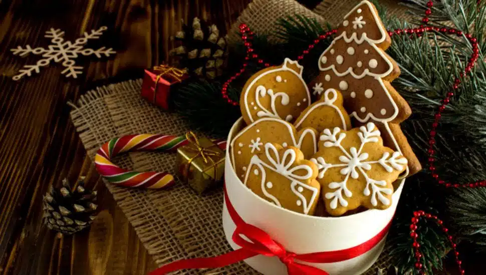 gingerbread cookies in a mug