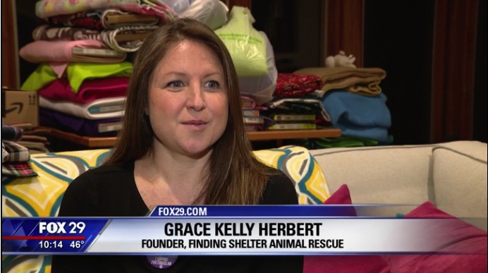 Finding Shelter Animal Rescue Volunteers King of Prussia Make Pouches for Baby Animals Affected By Australian Wildfires
