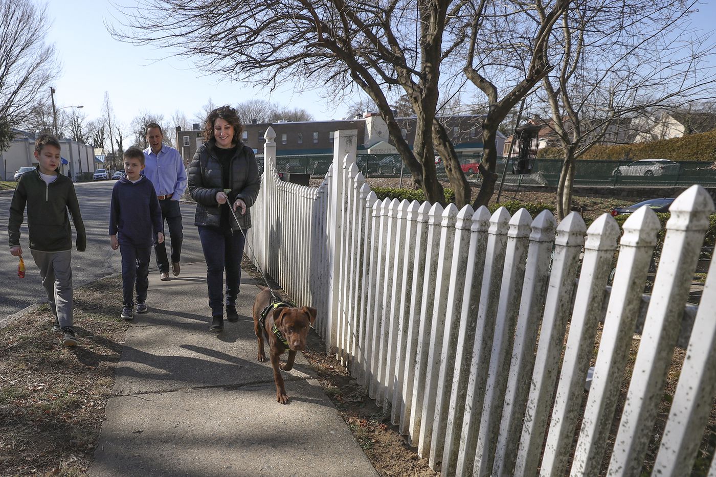 With Pooches Currently in Foster Homes and Rescue Shelters, Doggie Style Pets in Narberth Hopes to Restart Its Adoption Program Next Week