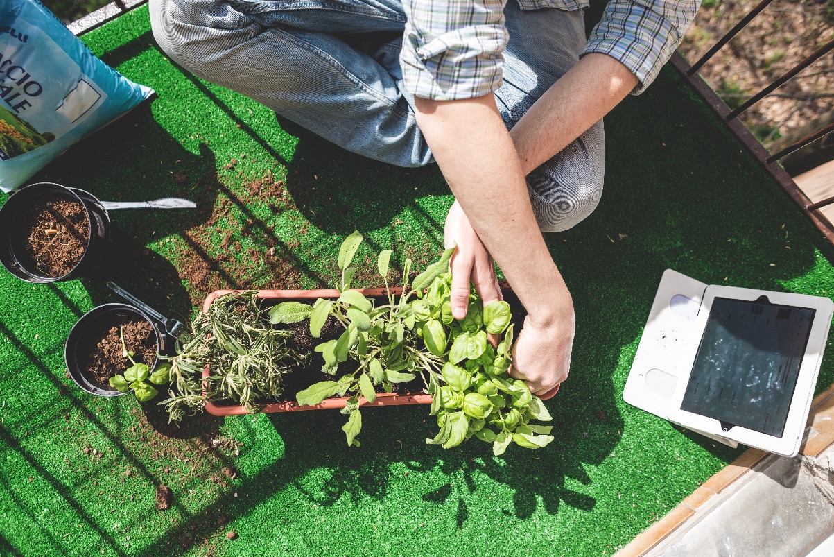 Growing Interest in Home Gardening Floods Local Seed Giant with Vegetable Orders