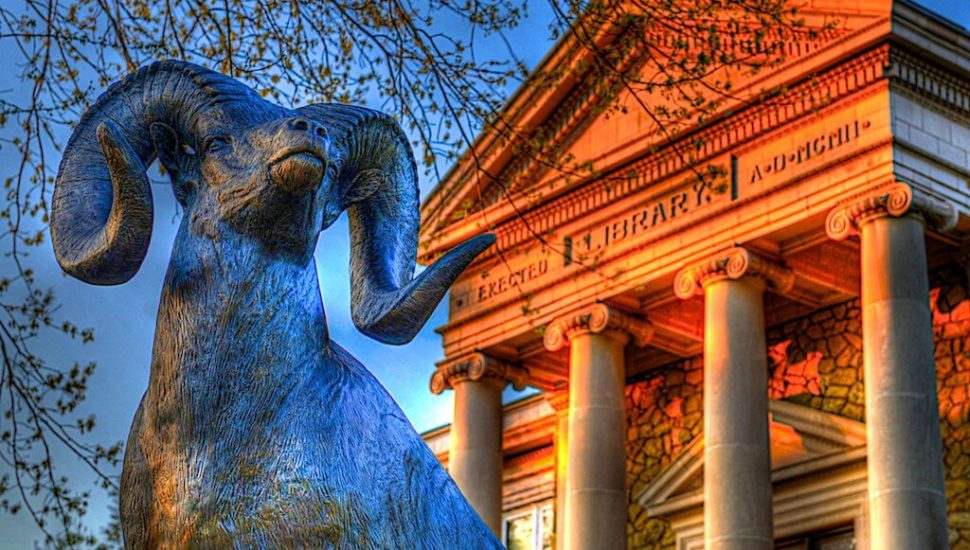 WCU’s Online MBA Program Ranks Among the Top 20 in the East