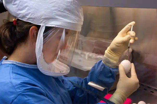 Inovio’s Stock Receives Boost from M COVID-19 Vaccine-Related DOD Grant