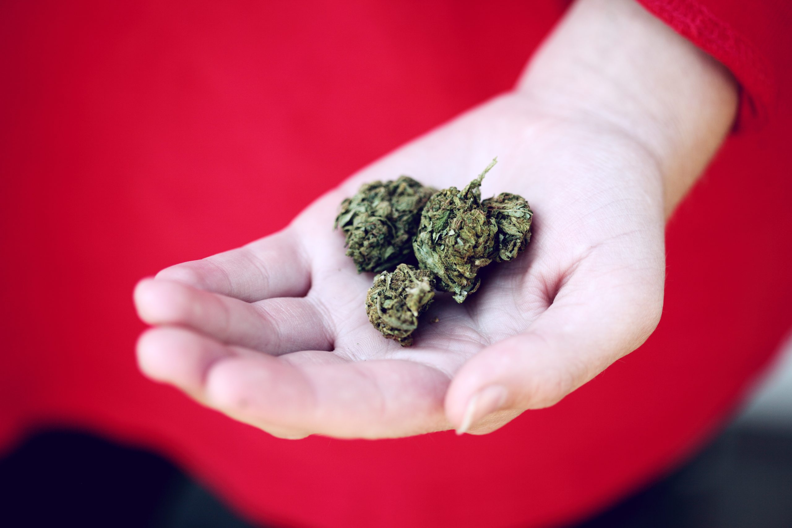West Norriton Supports Movement to Legalize Marijuana with Local Decriminalization Ordinance