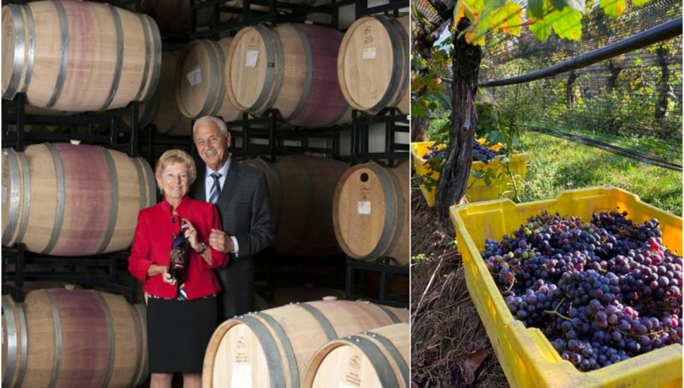 Karamoor Estate in Fort Washington Among Region’s Best to Visit Wineries