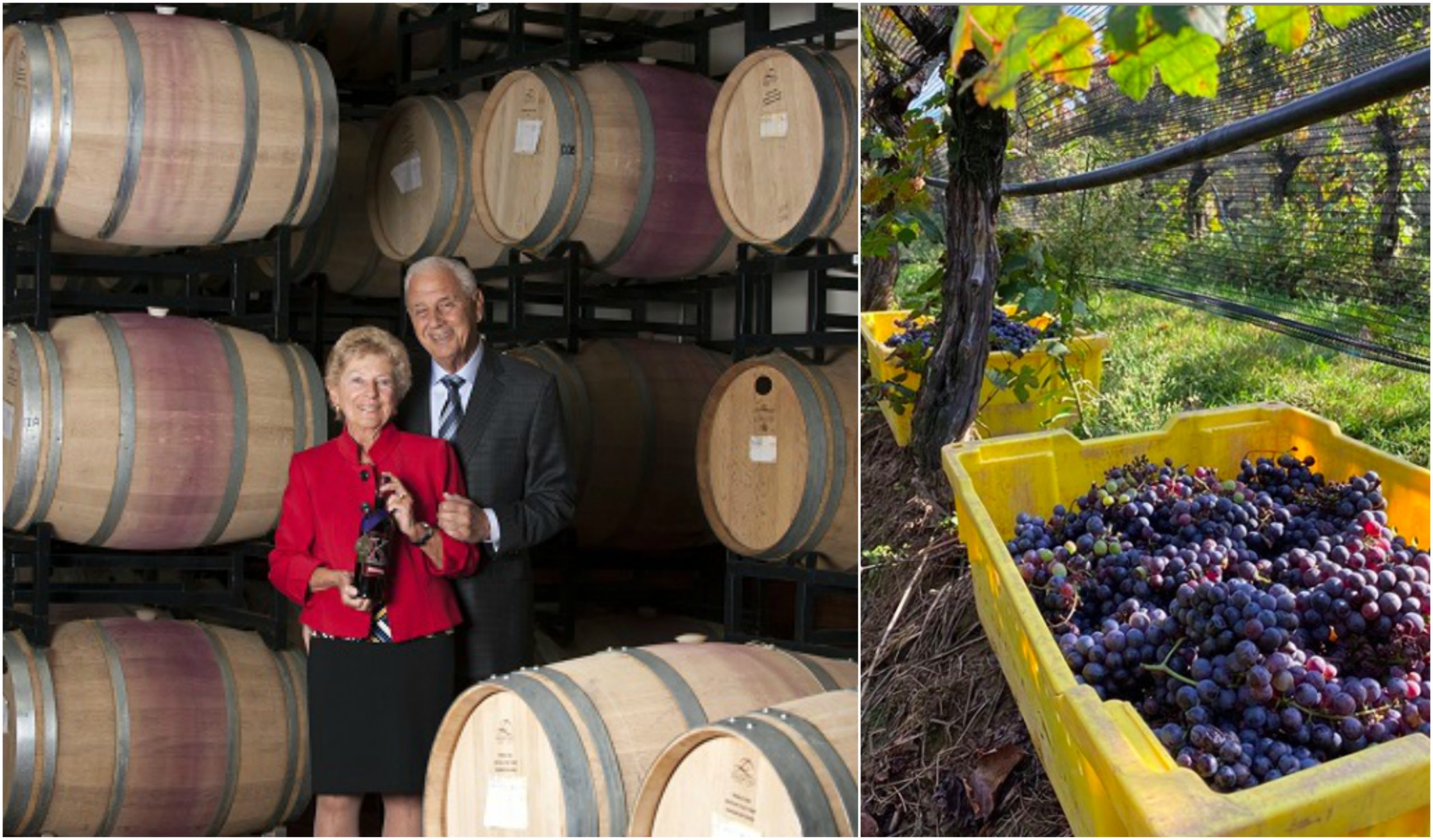 Karamoor Estate in Fort Washington Among Region’s Best to Visit Wineries