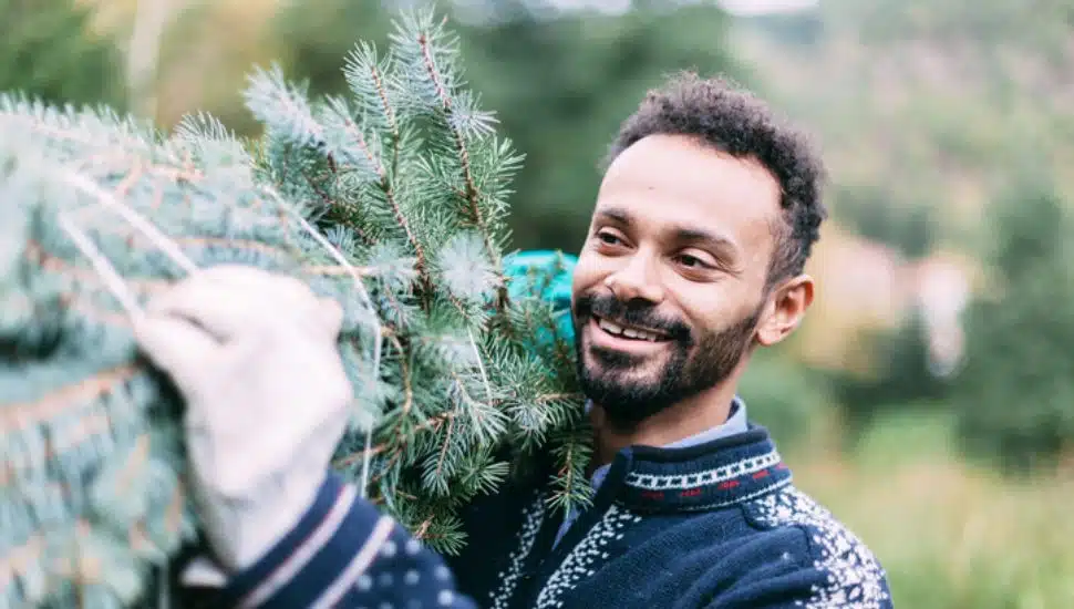man with Christmas tree on his shoulder