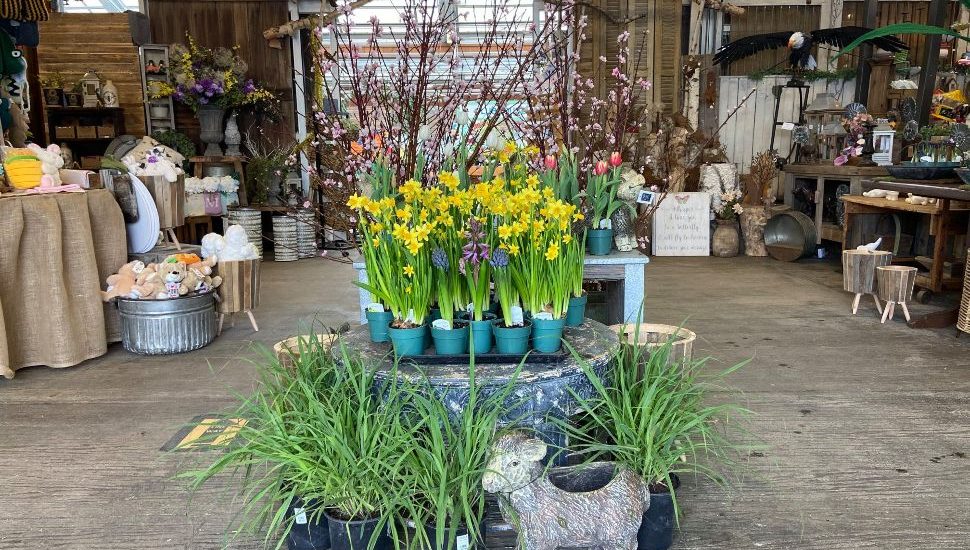 Signs of Spring and Warmer Weather Give Hope to Local Residents and Businesses
