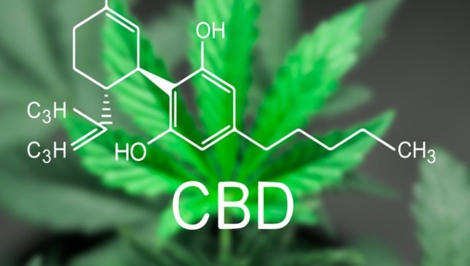 Australian Medical Cannabis Company Relocates Headquarters, Leadership to Plymouth Meeting
