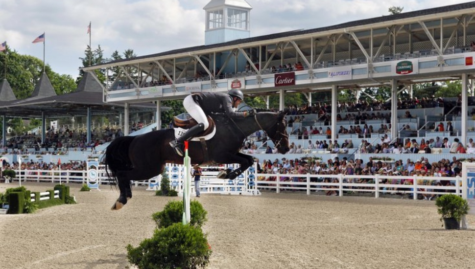 devon horse show