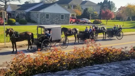 Amish Buggies in Lancaster