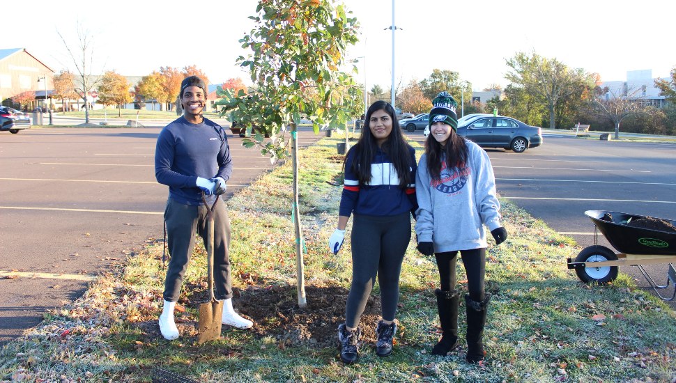 earth day plant trees montco