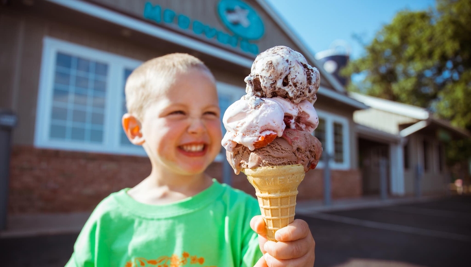 Boy holding a Merrymead Farm Ice Cream Cone