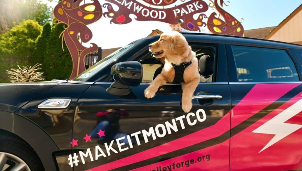 VF make it montco doggie elmwood park zoo