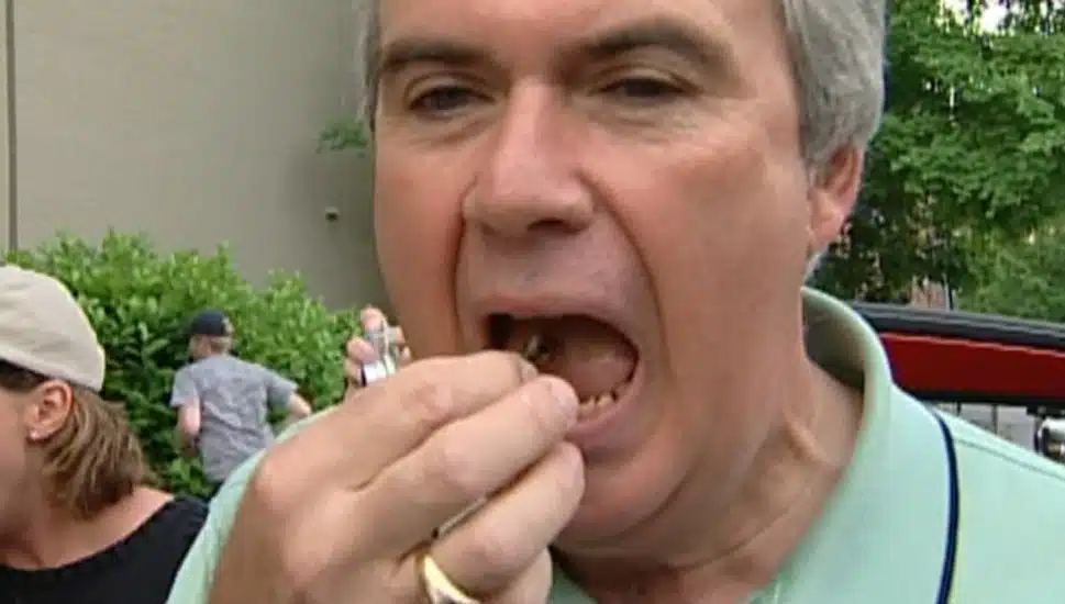 edible brood x cicadas
