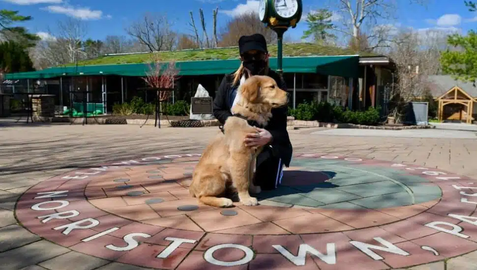 May Days VF ELmwood park zoo w doggie
