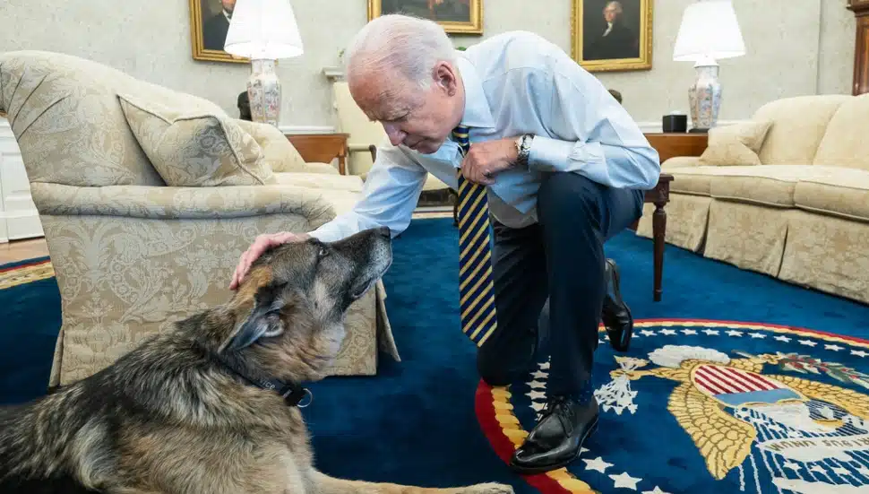 President Joe Biden and Champ, bred in Chester County.