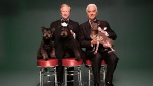 dogs Kennel Club of Philadelphia