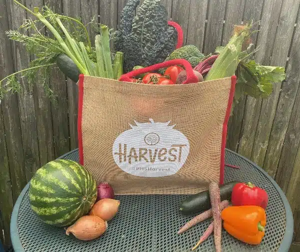 Harvest with gardeners fresh fruit