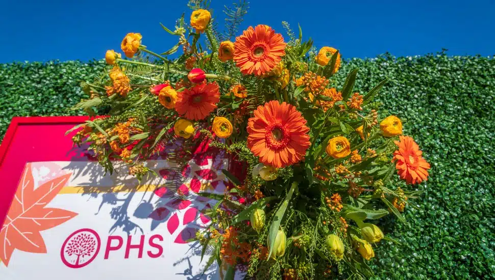 outside flowers blue sky FDR Park philly