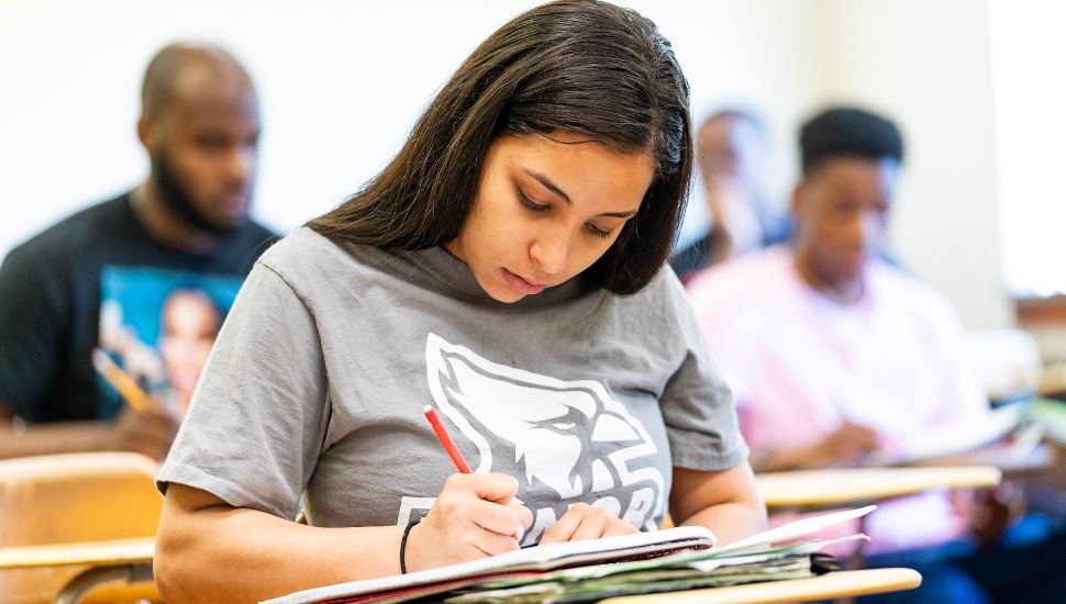 W.W. Smith Scholars Program