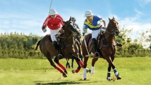 polo match on horses