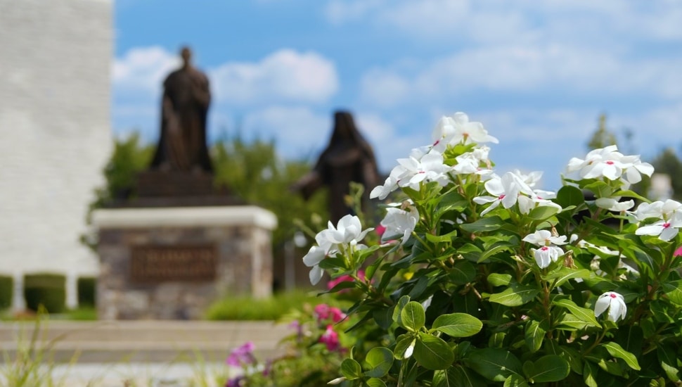Neumann University