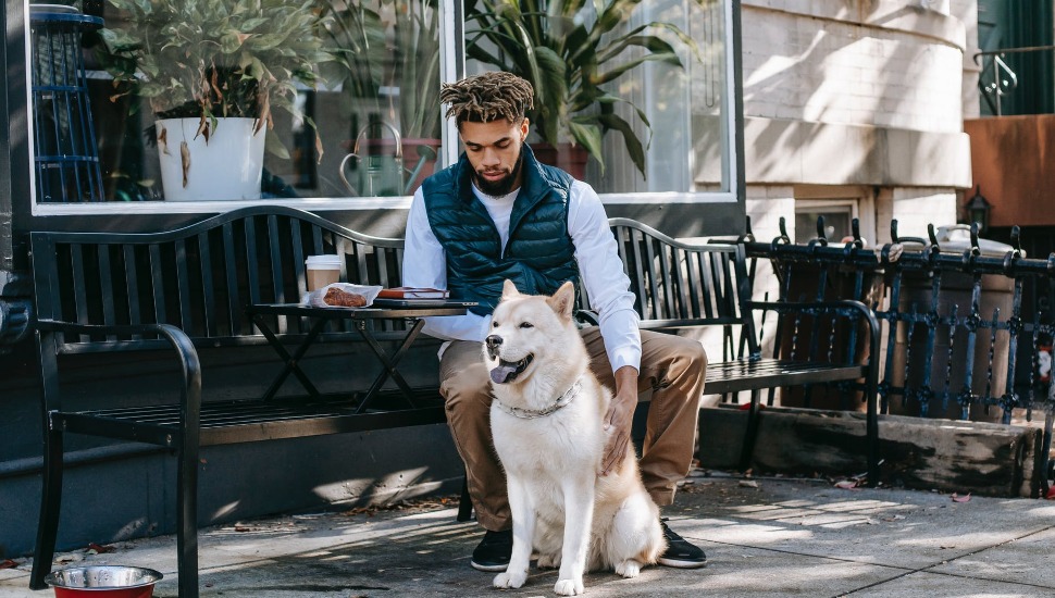 Crave Montco Pet Friendly