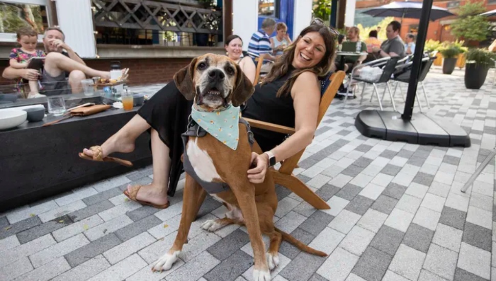 Landing Kitchen in Bala Cynwyd Offers Excellent, Polished Renditions of Familiar Favorites for High Patron Volume