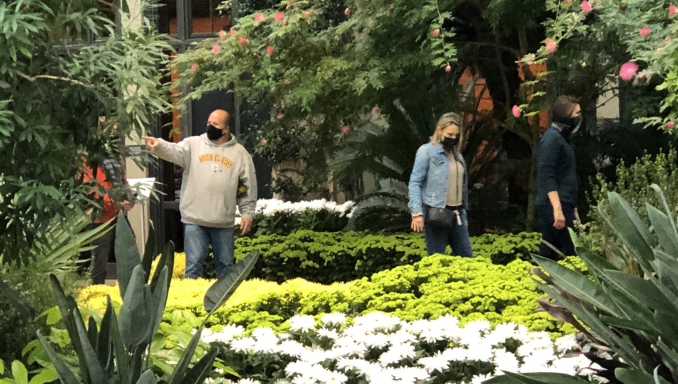 Visiting Longwood Gardens