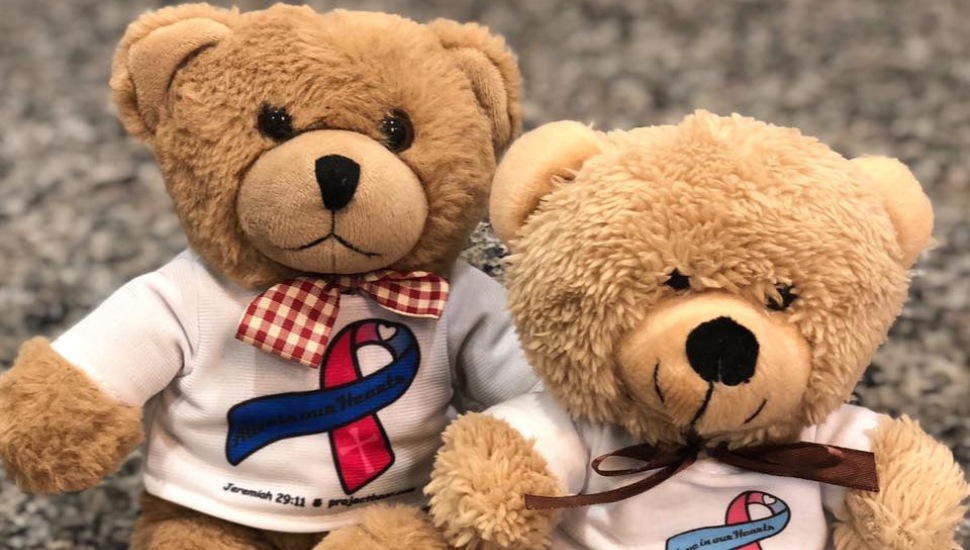 project bear fb