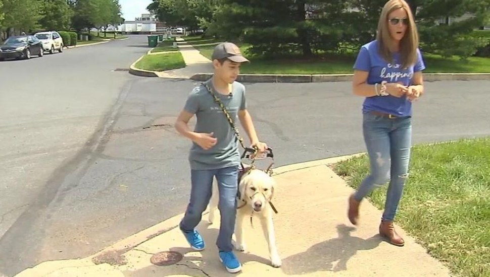 shane and pepper service dog