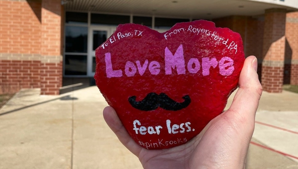 Kindness Rock painted by Brian