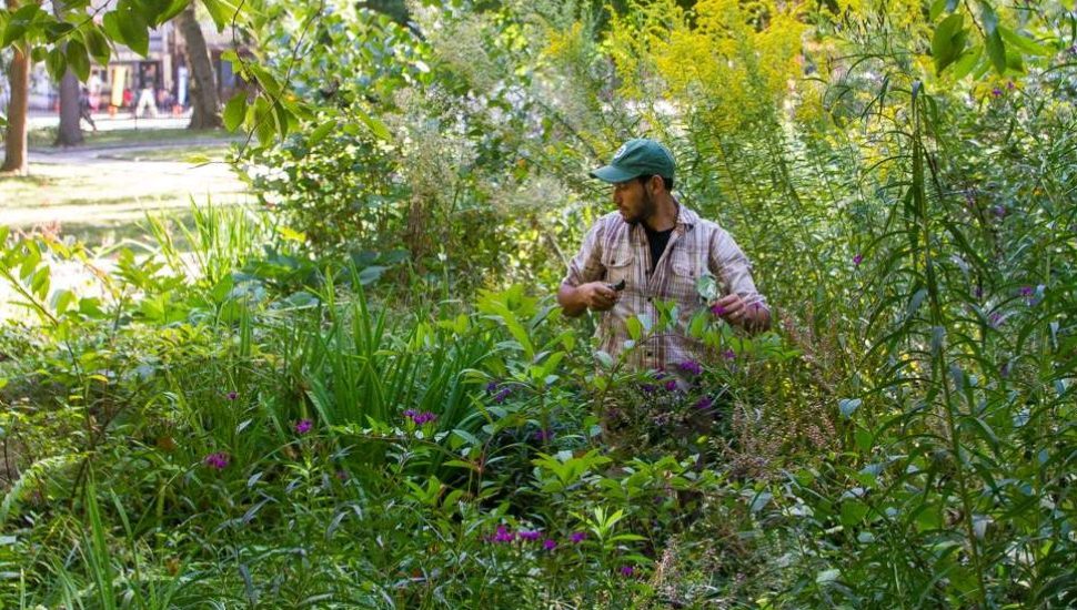 Tookany/Tacony-Frankford (TTF) Watershed Partnership