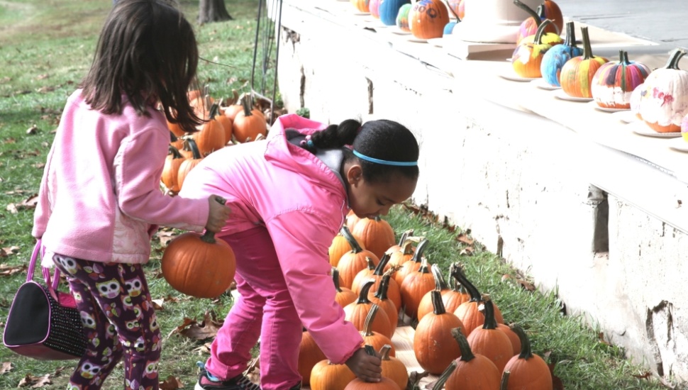 Pennypacker Mills pumpkins and kids