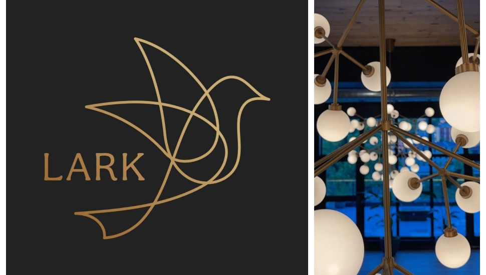 LARK bala cynwyd 2021 logo