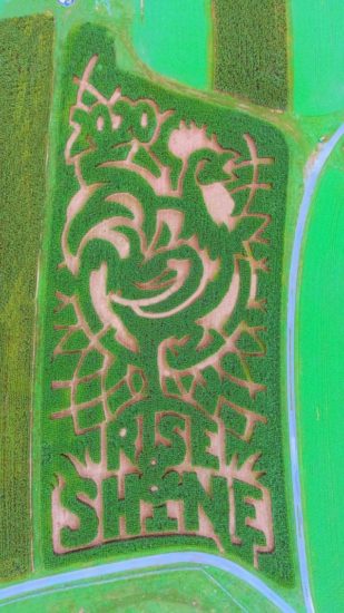 Merrymead Farm 2020 corn maze.