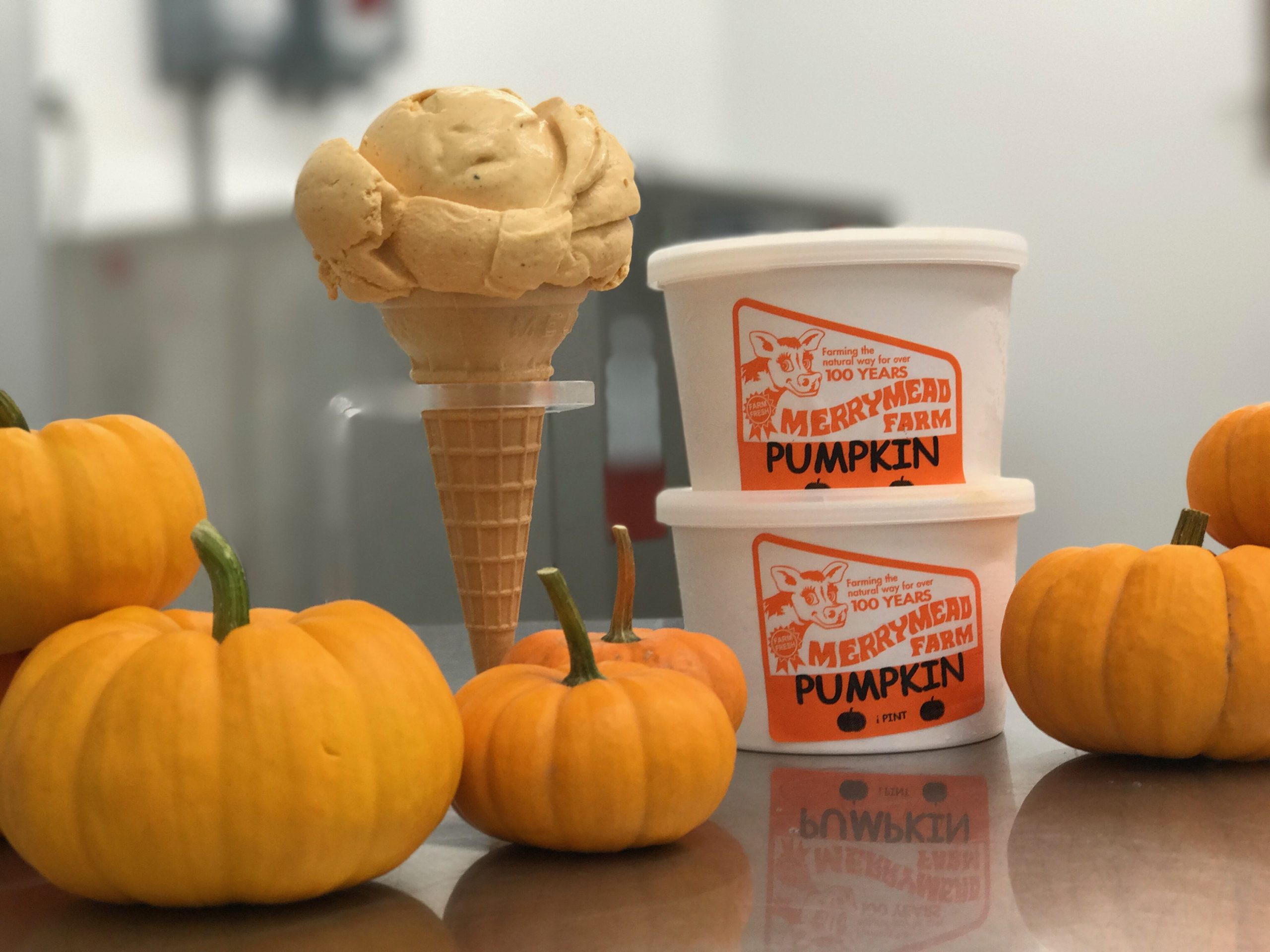 Enjoy Merrymead Farm pumpkin ice cream when goign through the corn maze.